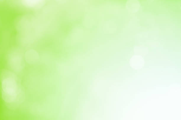 istock Green glitter sparkle defocused rays lights bokeh 492511212