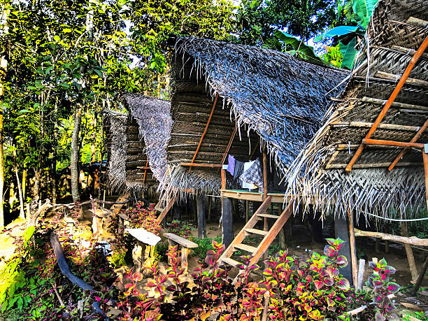 istock Camp Huts at Kelani River camp site, Sri Lanka 492513356