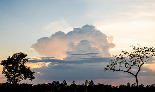 Landscape view of sunset behind big cloud with tree Landscape view of sunset behind big cloud with tree at foreground hope god lighting technique tree stock pictures, royalty-free photos & images