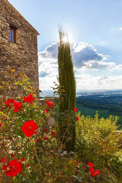 Fabulous view from the well restored 612m high situated medieval provencial village, overlooking the Durance valley. Cypress tree and red roses in front.