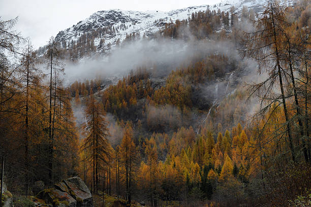 autumn landscape in the Alps