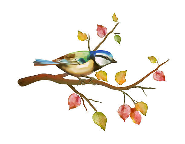 istock Watercolor bird tit on autumn branch 492521738