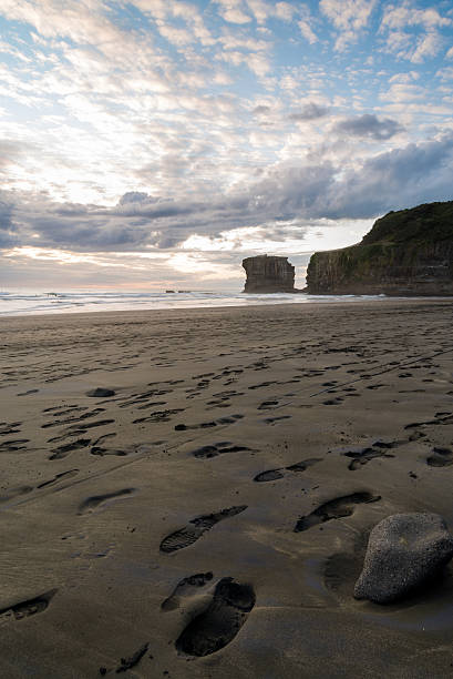 praia de muriwai - murawai beach - fotografias e filmes do acervo