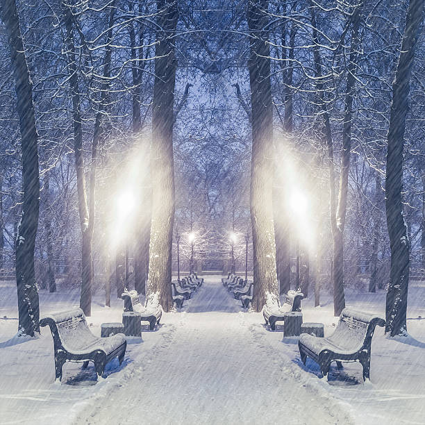 istock footpath in a fabulous winter city park 492522808