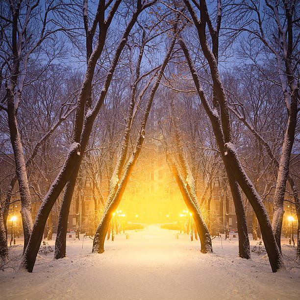 footpath in a fabulous winter city park