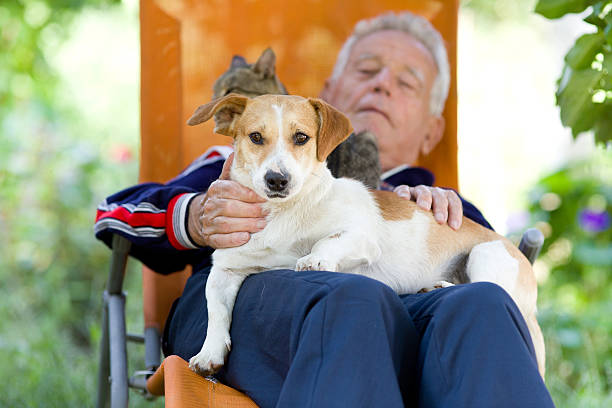 istock Senior man with dog and cat 492523092