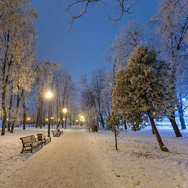istock footpath in a fabulous winter city park 492523166