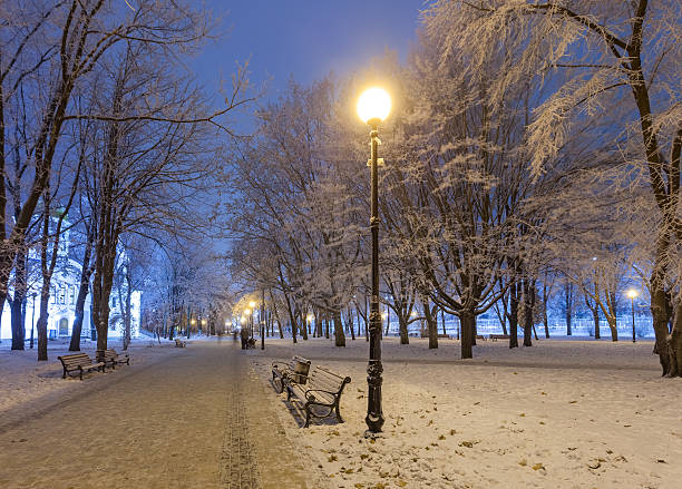 istock footpath in a fabulous winter city park 492523656