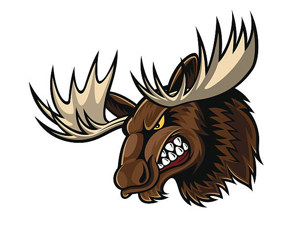 illustrazioni stock, clip art, cartoni animati e icone di tendenza di arrabbiato testa di alce - elk deer hunting animals hunting