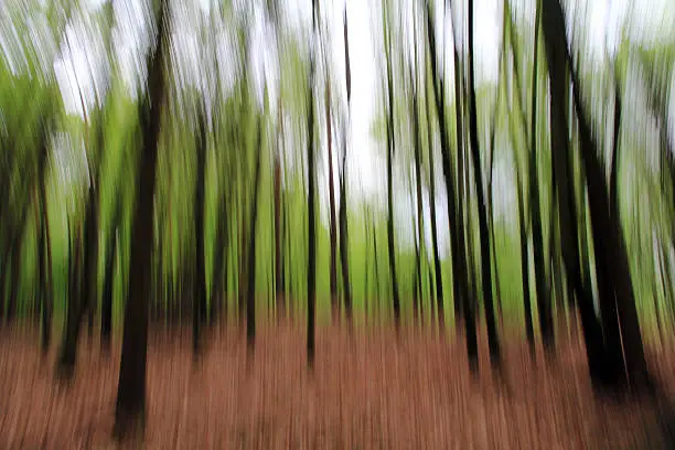 background picture - a blurred wood