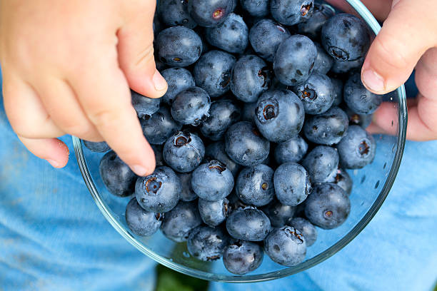 istock little cute boy holding bowl with blueberries 492531671
