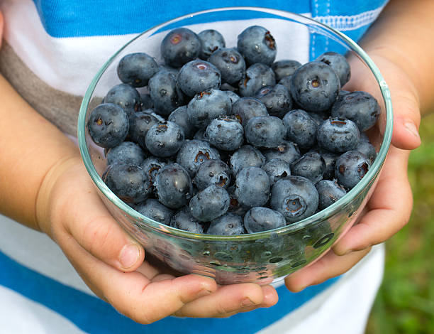 little cute boy holding bowl with blueberries