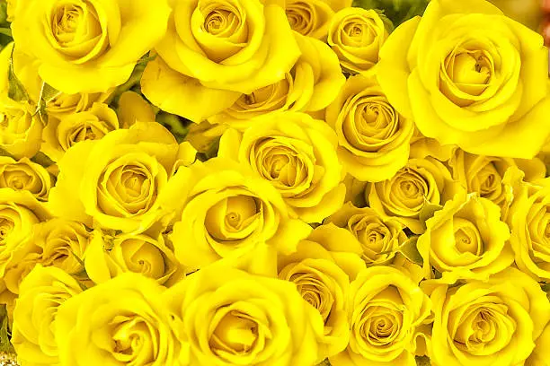 Photo of Bouquet of yellow roses