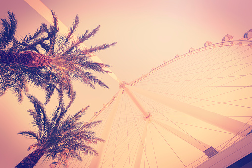 Retro vintage toned photo of palms and ferris wheel, summer fun concept.