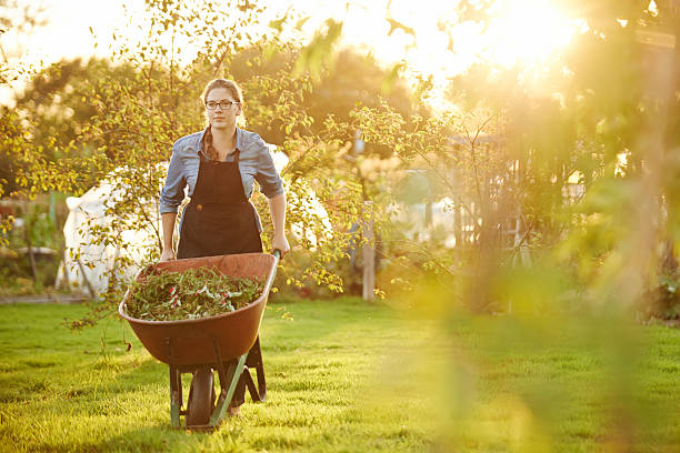 Shot of a young woman using a wheelbarrow in the gardenhttp://195.154.178.81/DATA/i_collage/pu/shoots/805735.jpg