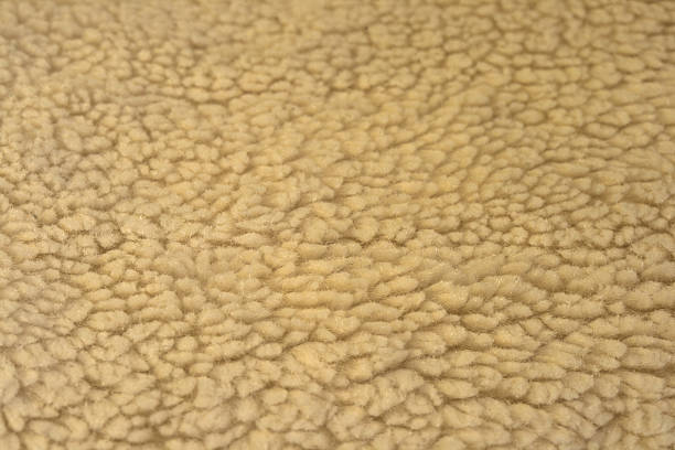 istock Close up of a furry blanket 492544277
