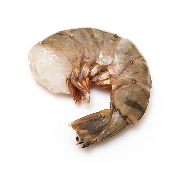 istock Tiger prawn or Asian tiger shrimp. 492544837