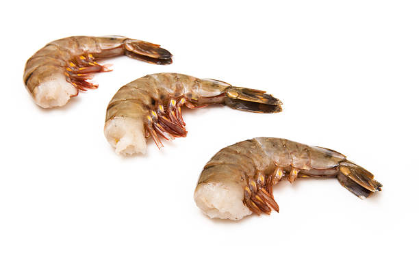 istock Tiger prawn or Asian tiger shrimp. 492544843