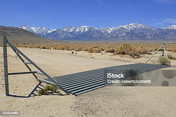 Cattle Guard On Road Near Ranch In The Western Usa Stock Photo - Download Image Now - Agriculture, Backgrounds, Beef