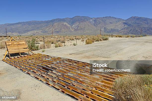 Cattle Guard On Road Near Ranch In The Western Usa Stock Photo - Download Image Now - Cattle, Agriculture, Backgrounds