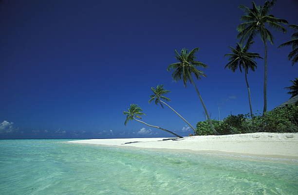 istock INDIAN OCEAN MALDIVES BEACH 492545419