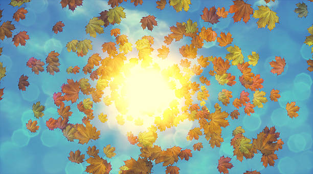 istock Autumn Leaves A18 492546316