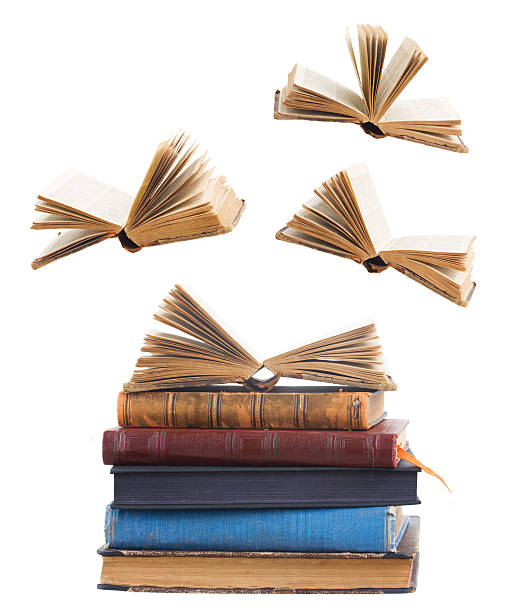 istock Pile of books 492547396