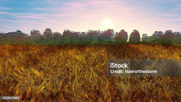 Foto de Wheatfield Nascer Do Sol e mais fotos de stock de Agricultura - Agricultura, Ajardinado, Amarelo