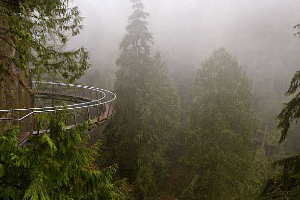 istock The cliff walk over the Capilano River, North Vancouver, B.C. 492548265