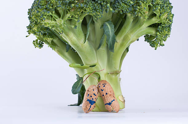 Peanut characters couple under broccoli tree stock photo