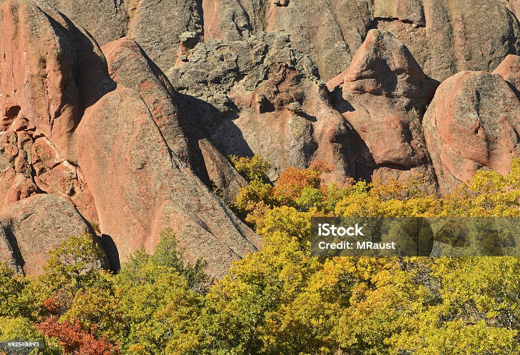 Red Sandstone The red sandstone formations among bright autumn scrub oak in Roxborough State Park Autumn Stock Photo