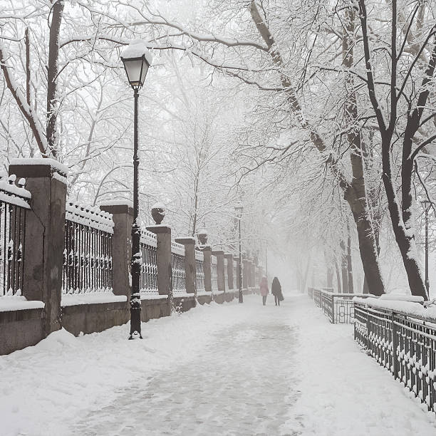 istock winter city park in morning 492549316
