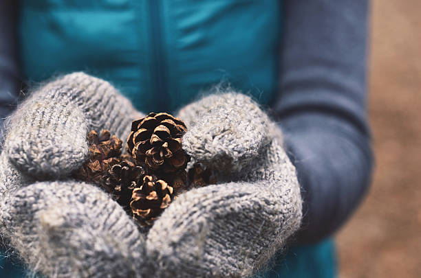 istock Woman holding pine tree cones in woolen mittens, close up 492550436