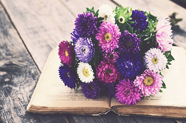 istock Bunch of autumn asters upon open book, vintage effect 492551908