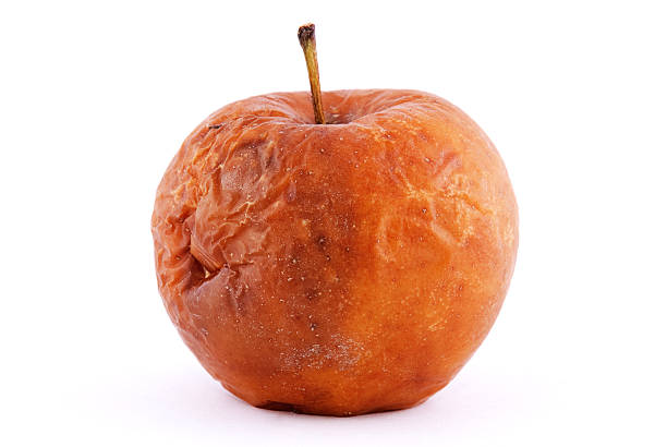 rotten apple - rotting food mold fruit stock-fotos und bilder
