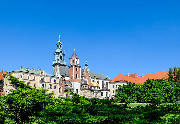 istock Wawel Castle square in Krakow 492571198