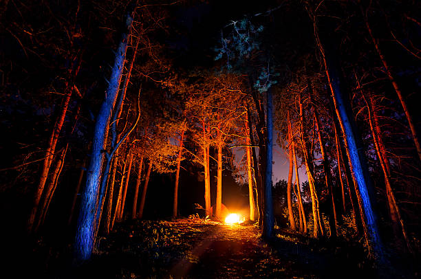 Dark forest Dark forest with campfire at night almaty photos stock pictures, royalty-free photos & images