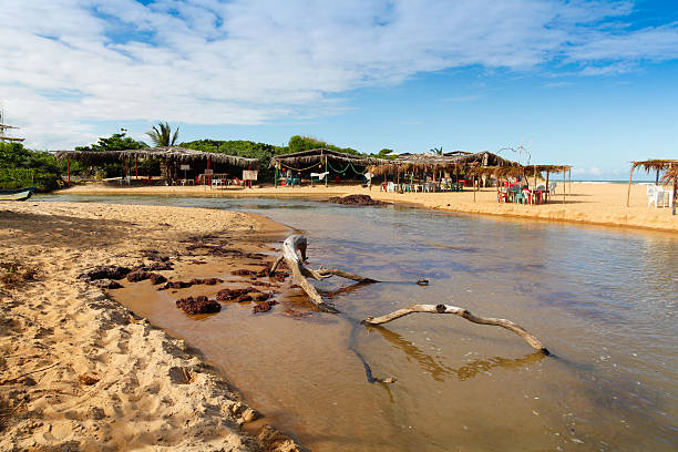 istock Sweet Creek beach Bahia sand dune Espirito Santo 492571653