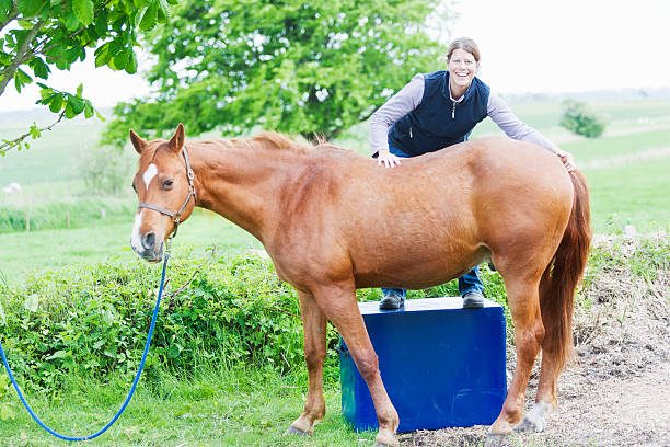 istock Female veterinarian performing chiropractics 492571665