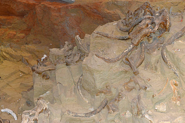 istock Active paleontological Mammoth dig site in Hot Springs, South Dakota 492571692