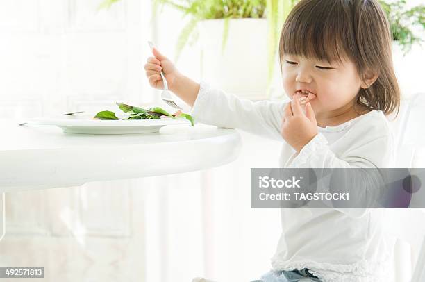 Japanese Girl Taking Meal 건강한 생활방식에 대한 스톡 사진 및 기타 이미지 - 건강한 생활방식, 건강한 식생활, 동양인