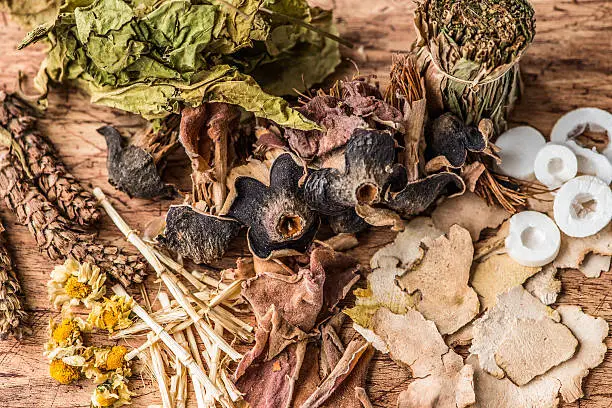 Photo of Traditional Chinese Herbal Medicine