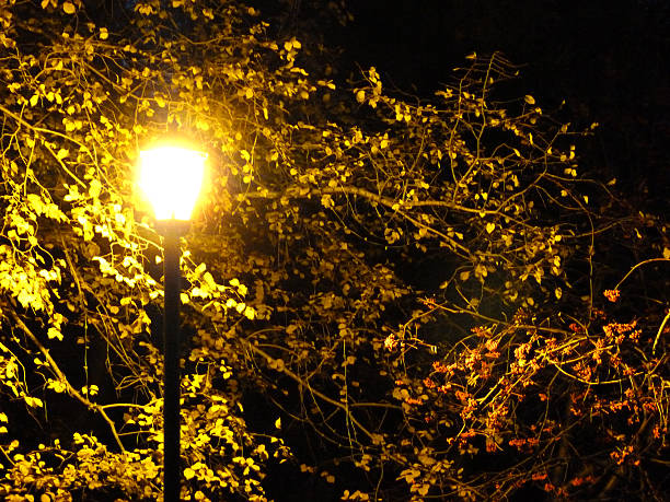 lampada in park - sibiria foto e immagini stock