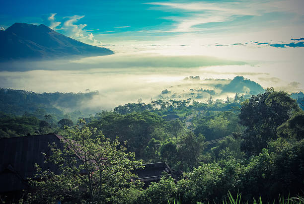 Bali volcano Kintamani stock photo