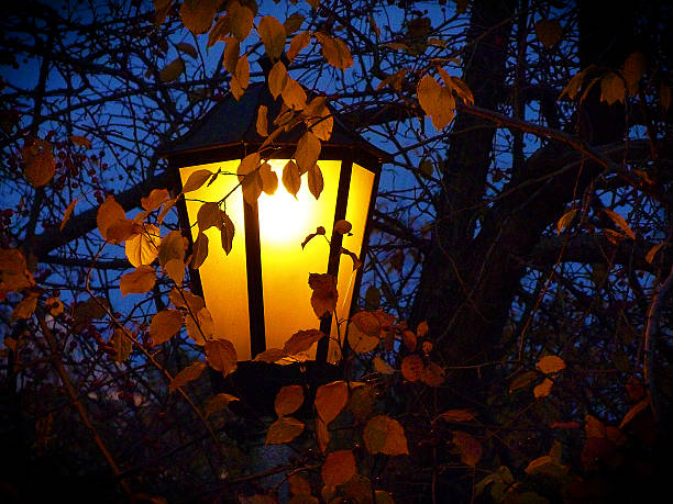 램프 in park - sibiria 뉴스 사진 이미지
