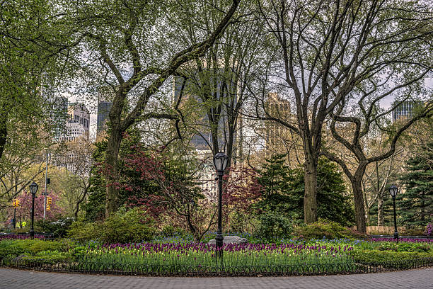 istock Spring in Central Park, New York City 492572759