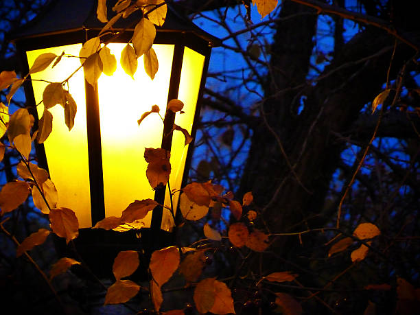 lámpara en park - sibiria fotografías e imágenes de stock
