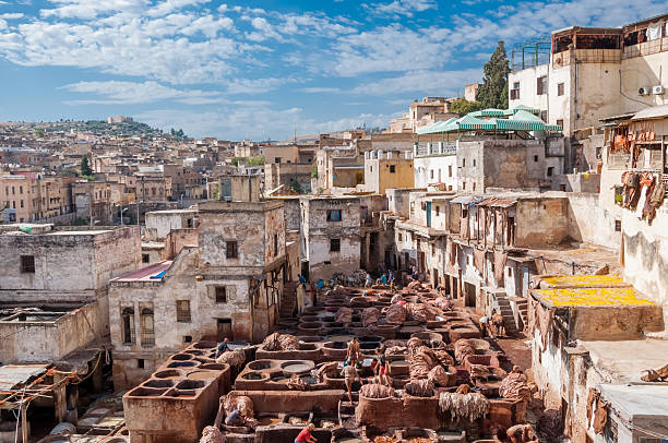 istock tanneries of fes 492573601