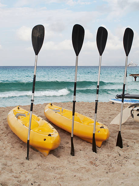 istock Paddles and kayaks on the beach 492573797