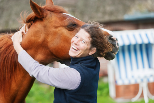 A female veterinarian, performing some chiropractics on a horse. XXL size image. Image taken with Canon EOS 1 Ds Mark II and EF 70-200 mm USM L.
